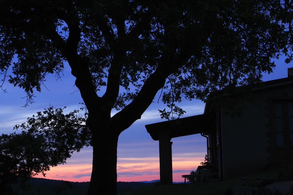 Agriturismo Belvedere Di Pierini E Brugi Campagnatico Room photo
